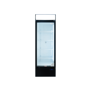 DISPLAY FREEZER - SINGLE DOOR